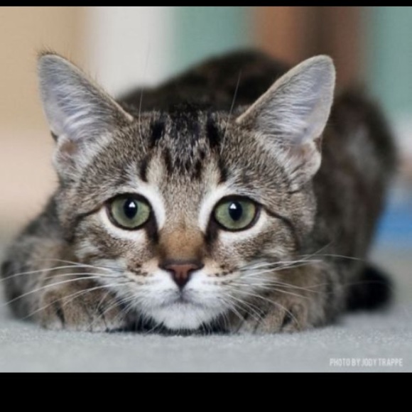 Meet your Posher, Dee - Picture 2 of 2